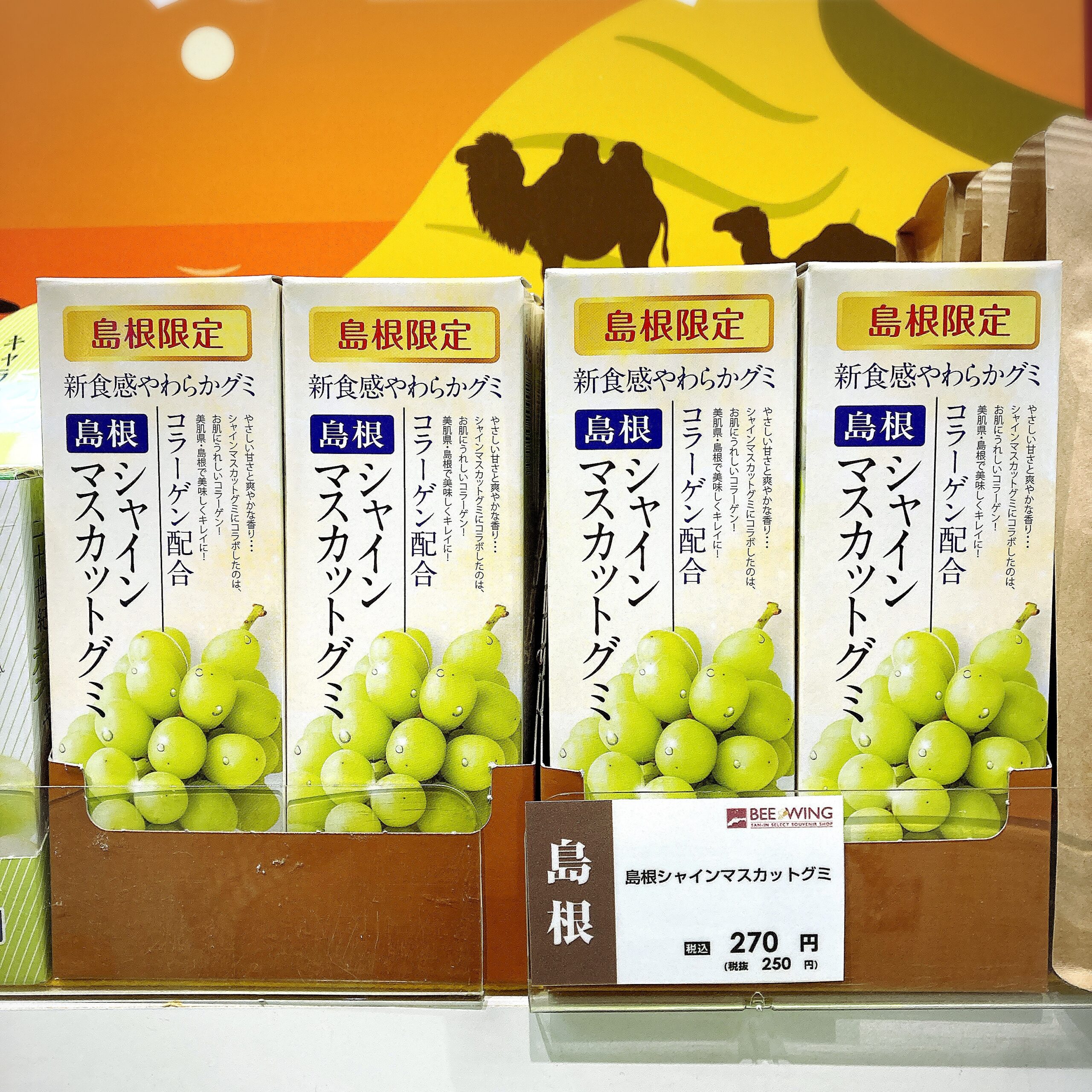 新商品♡シャインマスカットグミ×2箱 - 菓子